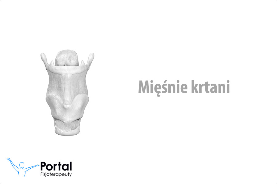 Mięśnie krtani