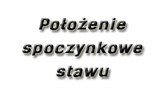 Położenie spoczynkowe stawu