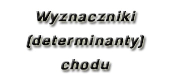 Wyznaczniki (determinanty) chodu