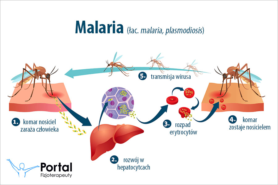 Malaria