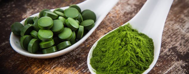 Właściwości chlorelli