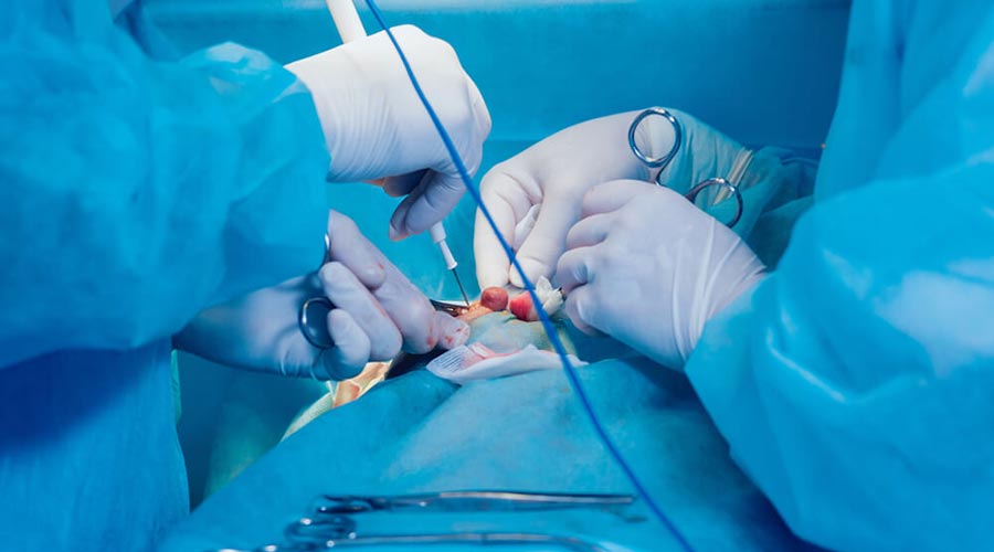 Zabiegi chirurgiczne w nowotworach gruczołu piersiowego