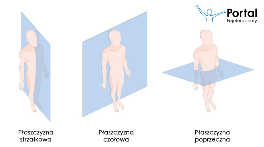 Płaszczyzny ciała