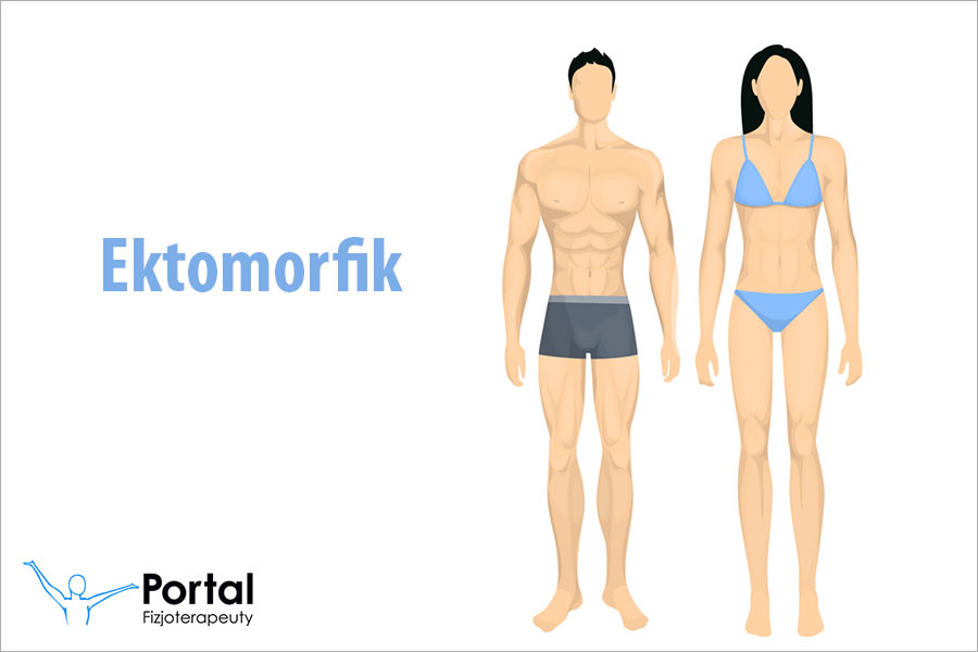 Ektomorfik