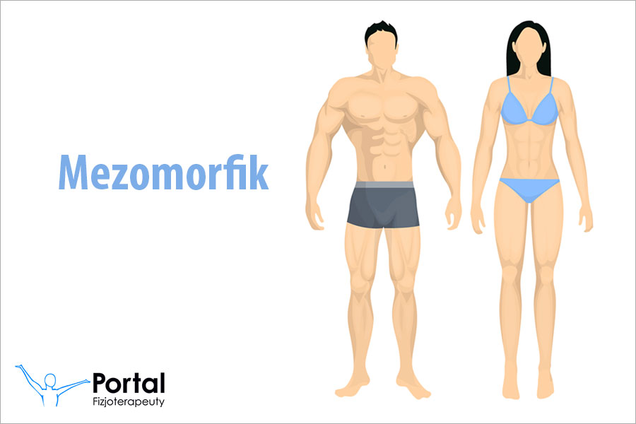 Mezomorfik