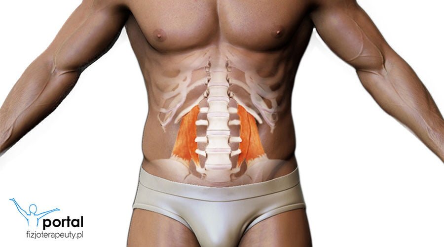 Mięsień czworoboczny lędźwi