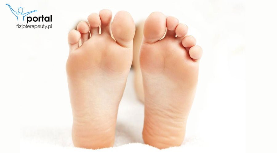 Stopa - pomiary liniowe i kątowe