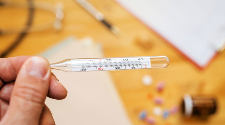 Termoregulacja organizmu