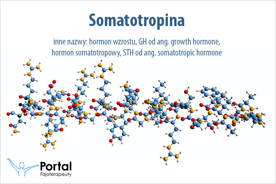 Somatotropina