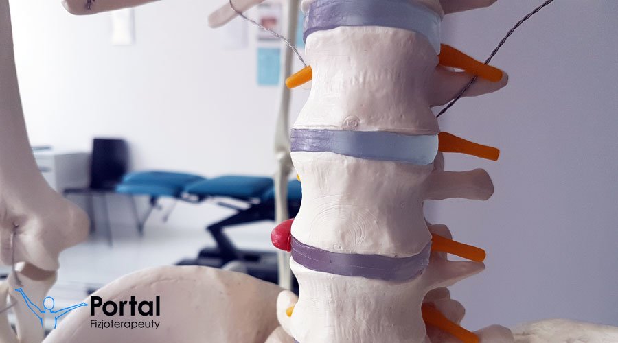 Krążek międzykręgowy