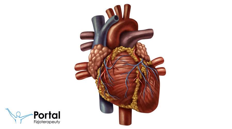 Objętość wyrzutowa serca