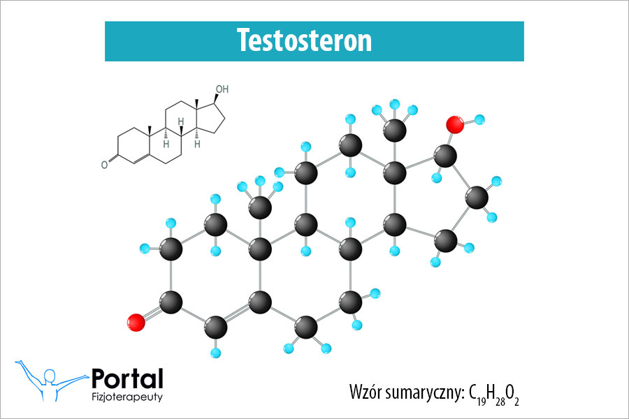 Testosteron