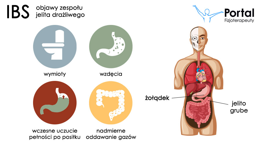 Zespół jelita drażliwego - objawy i leczenie