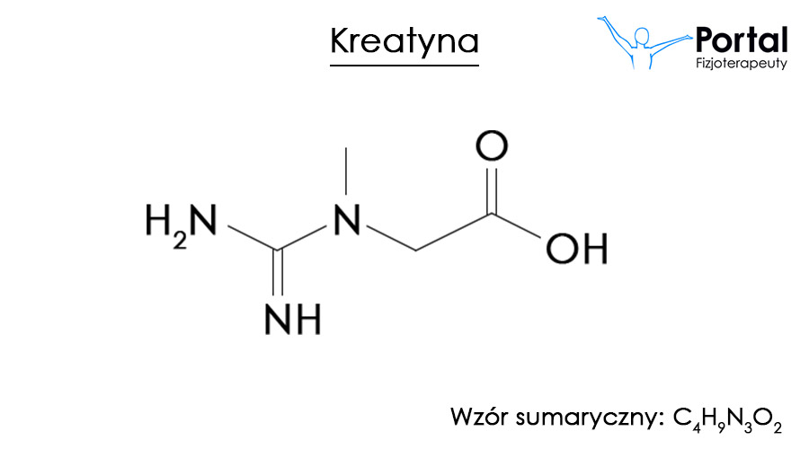 Kreatyna