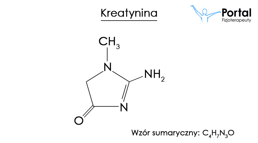 Kreatynina