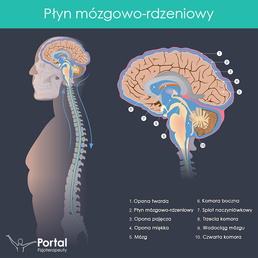 Płyn mózgowo-rdzeniowy
