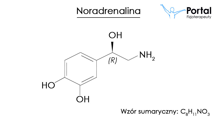 Noradrenalina
