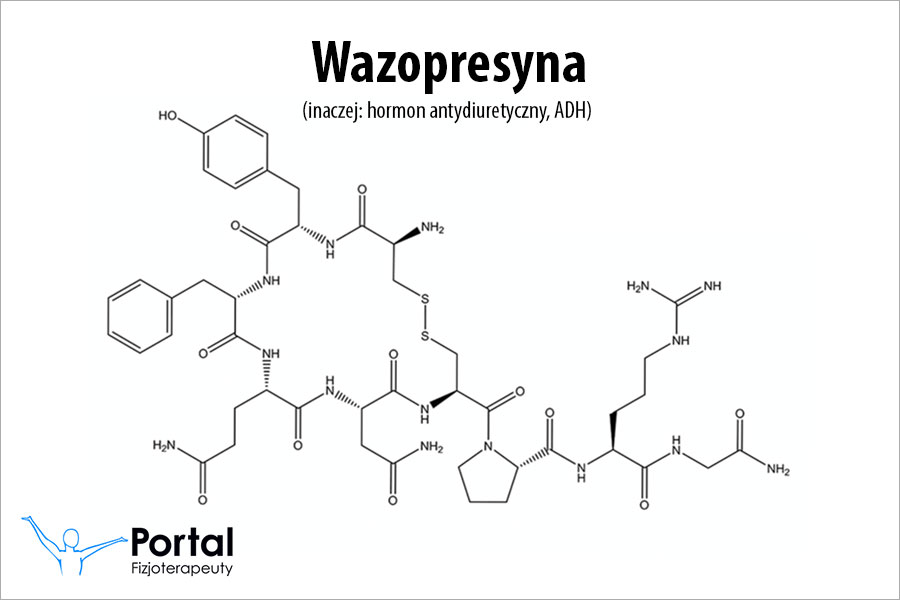 Wazopresyna