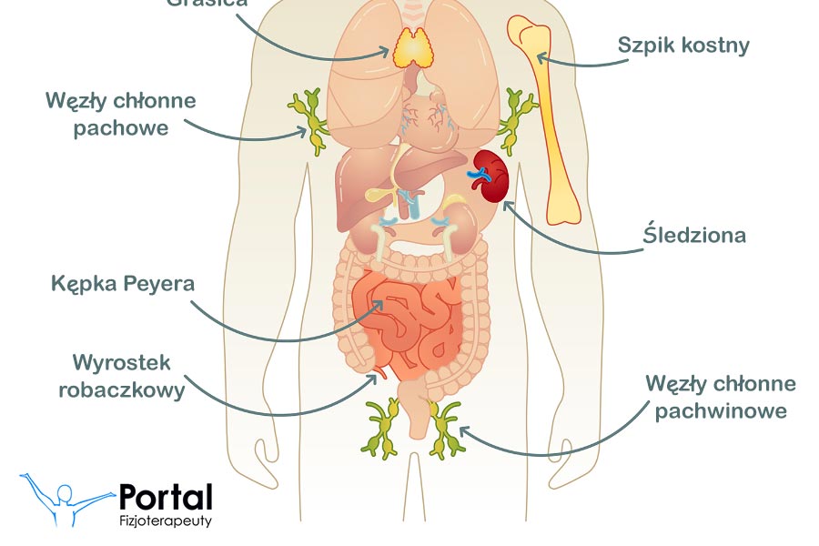 Układ immunologiczny