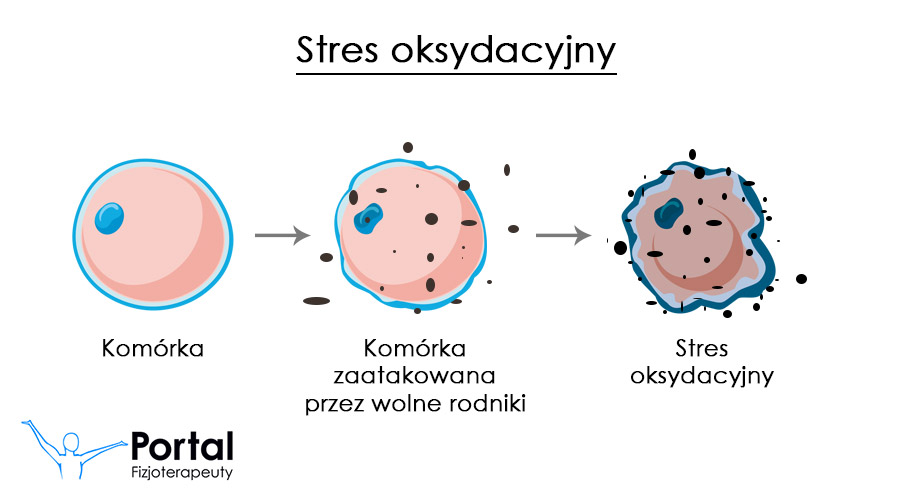 Stres oksydacyjny