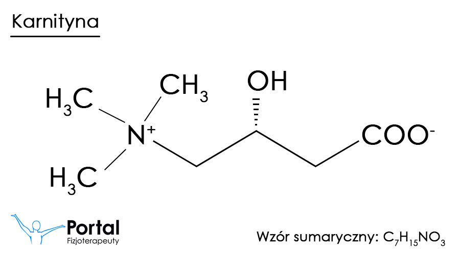 Karnityna