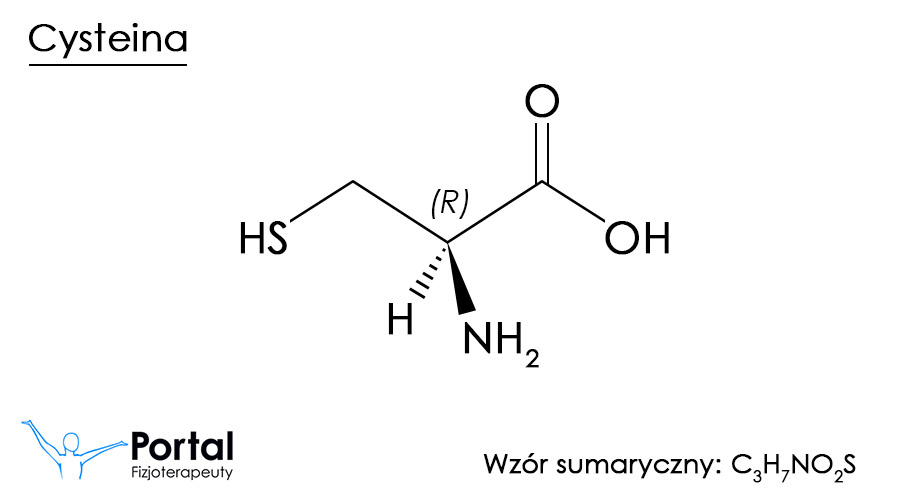 Cysteina