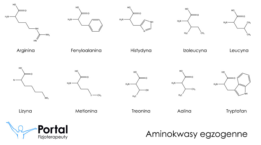 Aminokwasy egzogenne