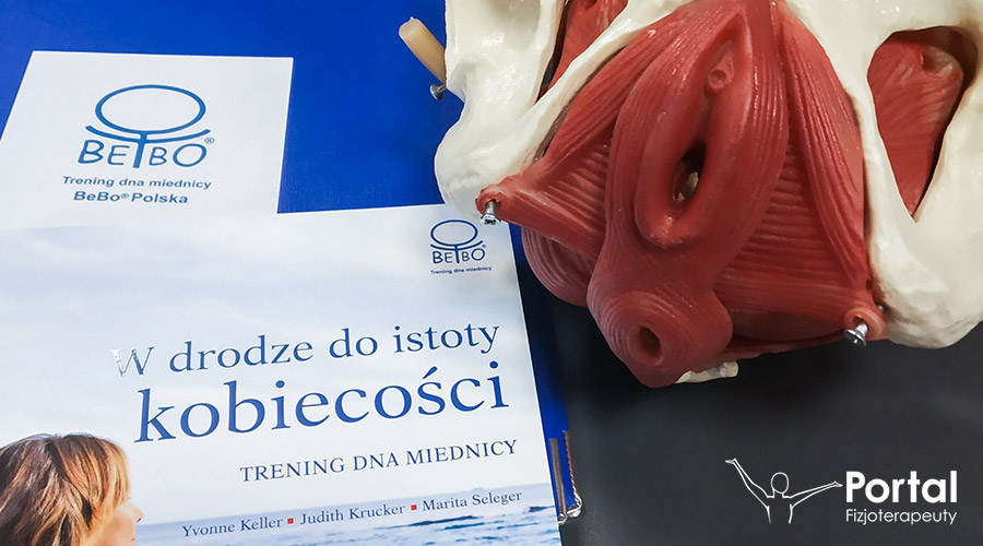 Kurs Trening dna miednicy BeBo