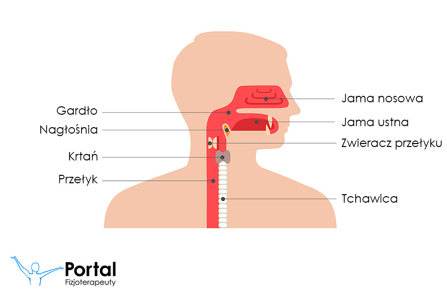 Terapia miofunkcjonalna