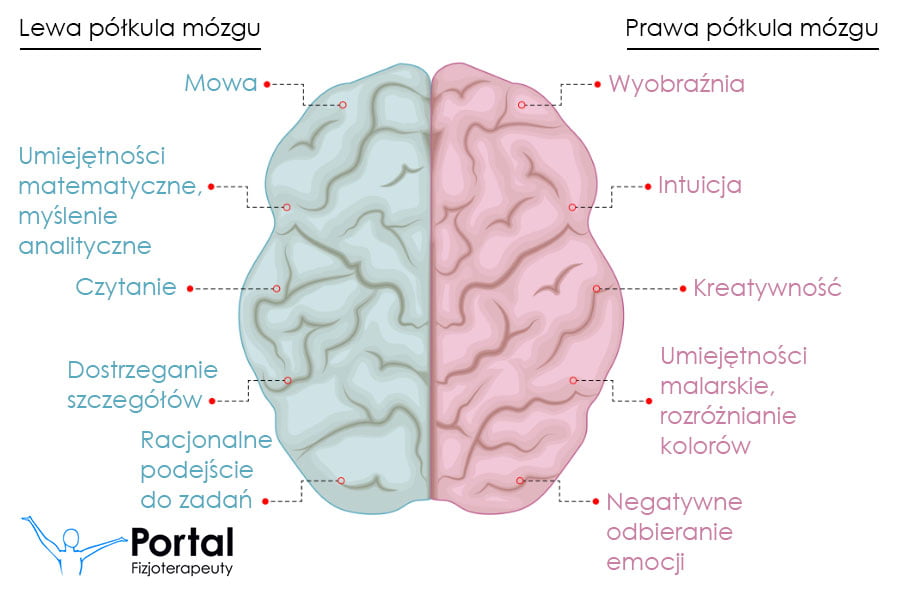 Asymetria funkcjonalna mózgu