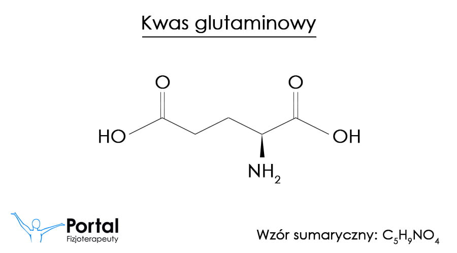 Kwas glutaminowy