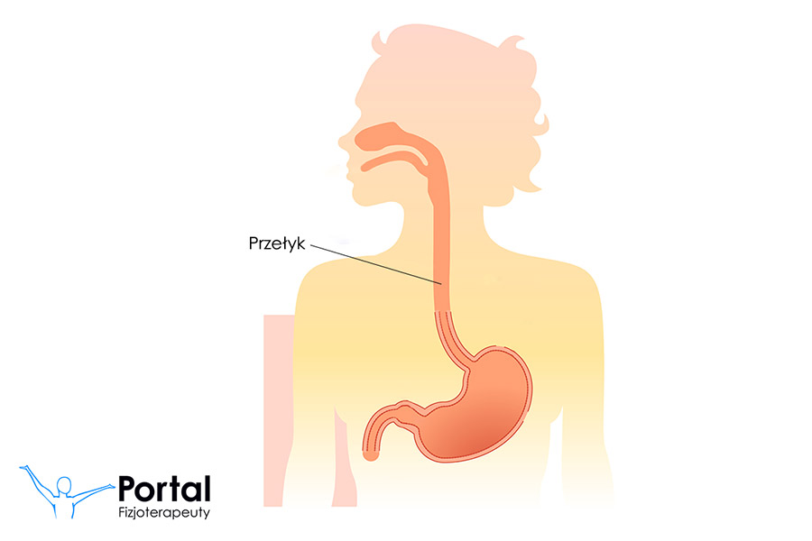 Przełyk