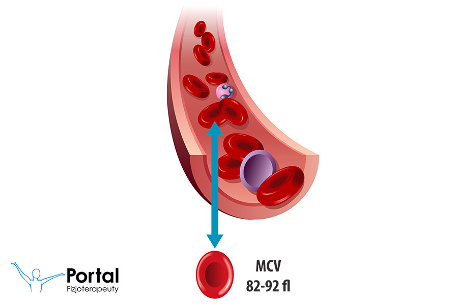 MCV (ang. Mean Corpuscular Volume)