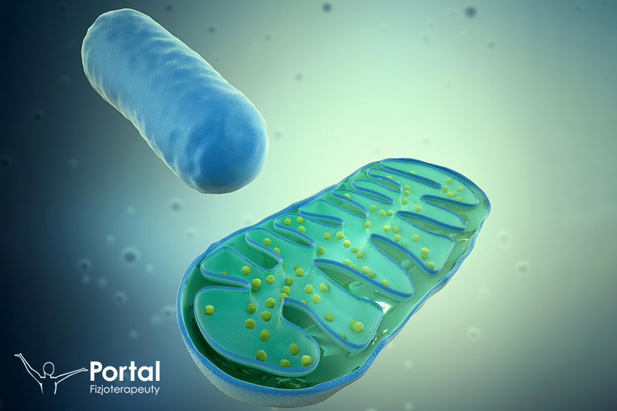 Medycyna mitochondrialna