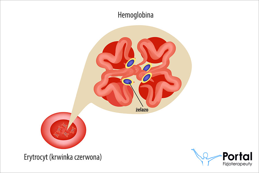 Jak obniżyć poziom żelaza?