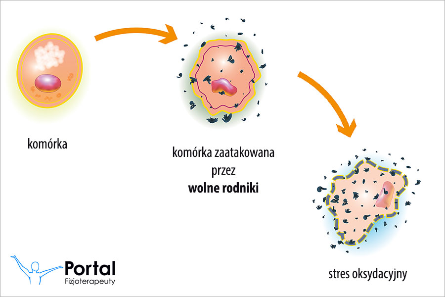 Wolne rodniki tlenowe