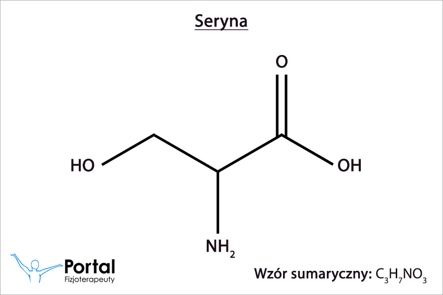 Seryna