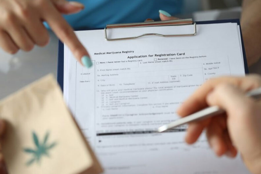 Jak wybrać dobrą medyczną marihuanę? Sprawdzamy!