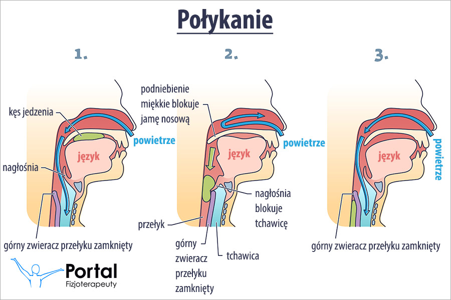 Połykanie