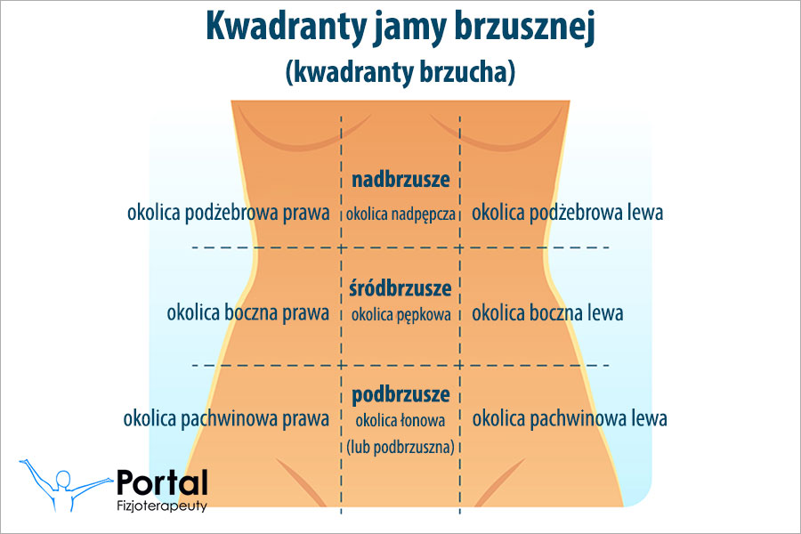 Kwadranty jamy brzusznej