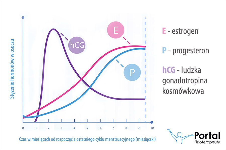 HCG (ludzka gonadotropina kosmówkowa)