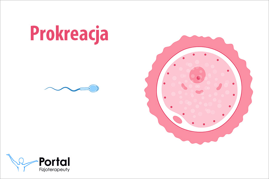 Prokreacja