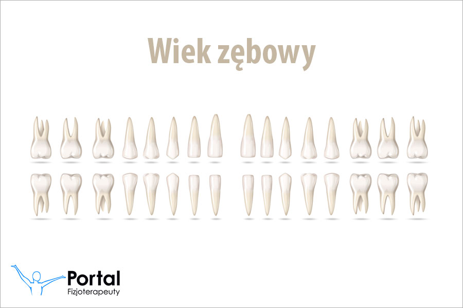 Wiek zębowy