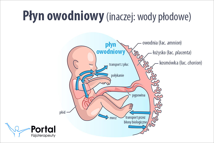 Płyn owodniowy
