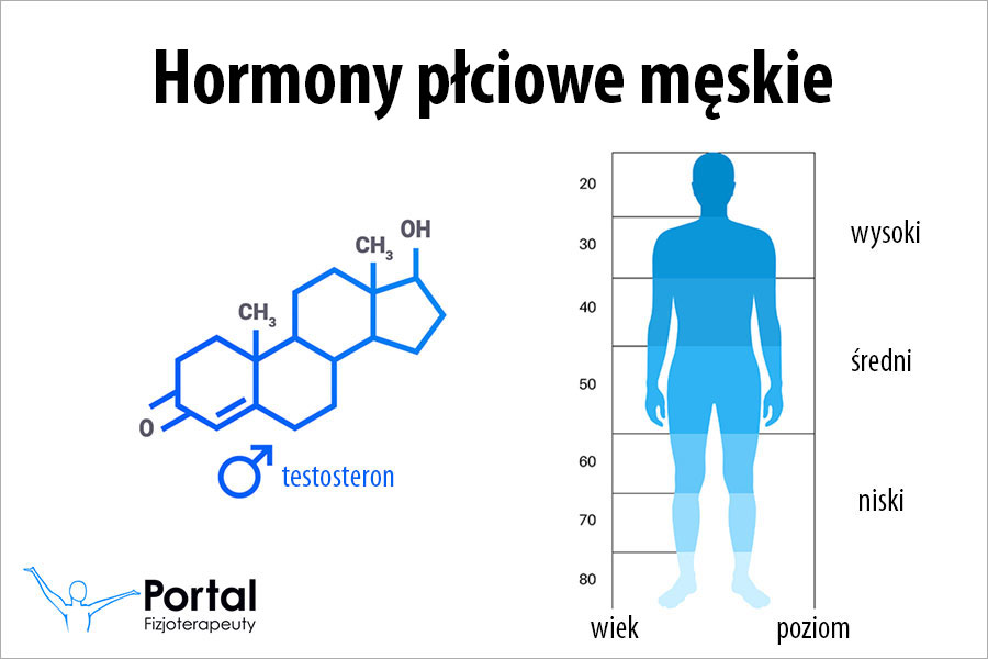 Hormony płciowe męskie