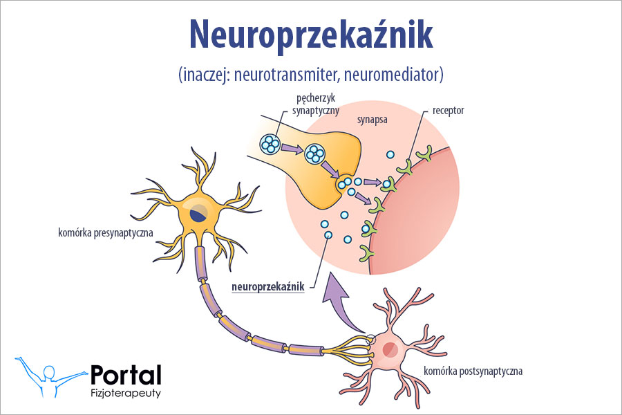 Neuroprzekaźnik