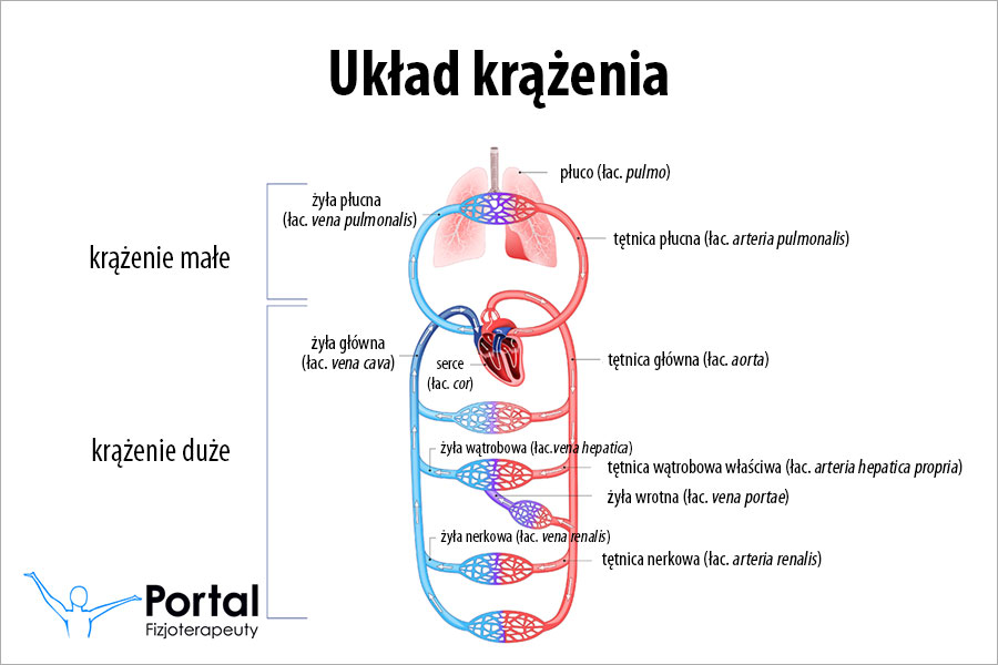 Zaburzenia krążenia