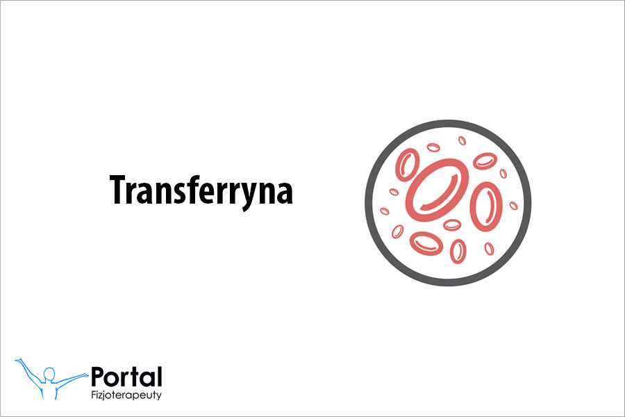 Transferryna